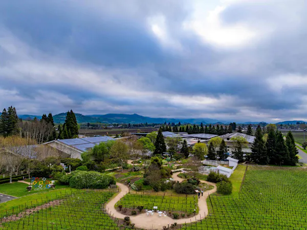 landscape, land lot, hill station, plantation, garden, agriculture