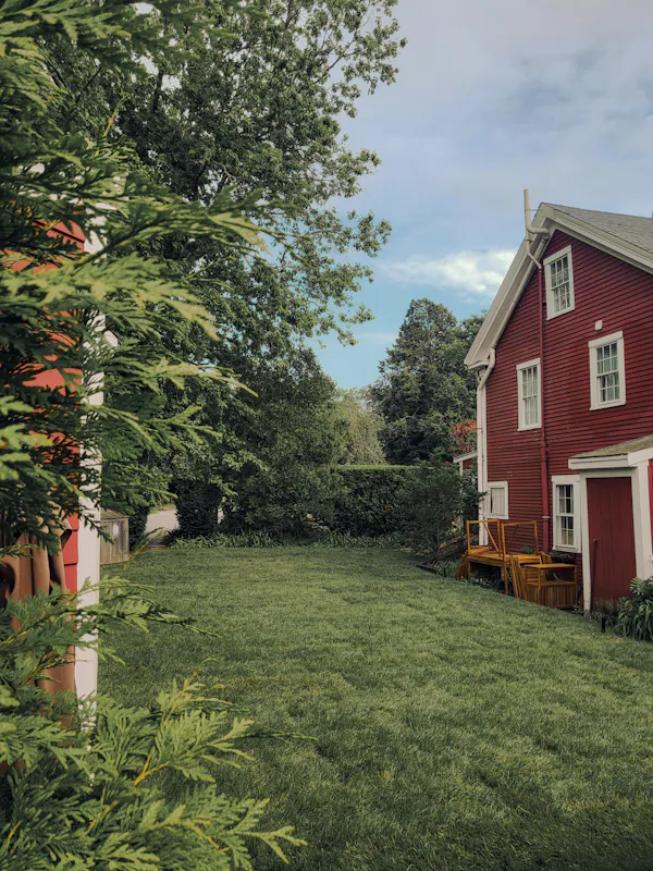 green, leaf, plants, shrub, house, garden