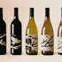 Marked Tree Vineyard