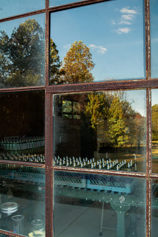 glass, reflection, morning, sunlight, iron, transparency