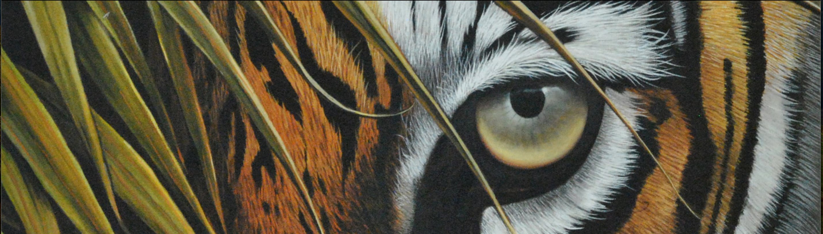 E.Z Tiger