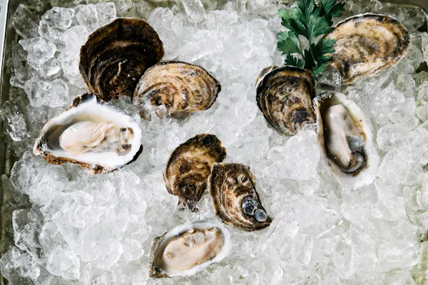 food, oyster, seafood, bivalvia, ingredient, shellfish