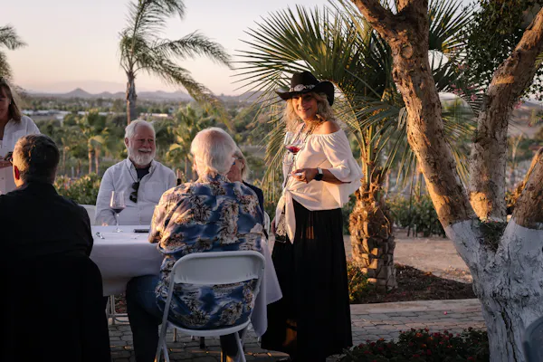 leisure, chair, vacation, palm trees, party