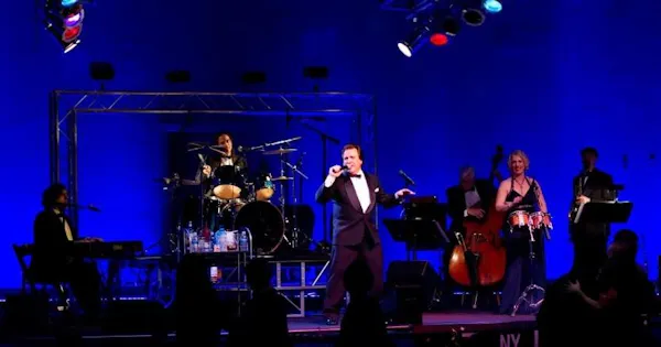 musical instrument, performing arts, entertainment, performance, chordophone, stage