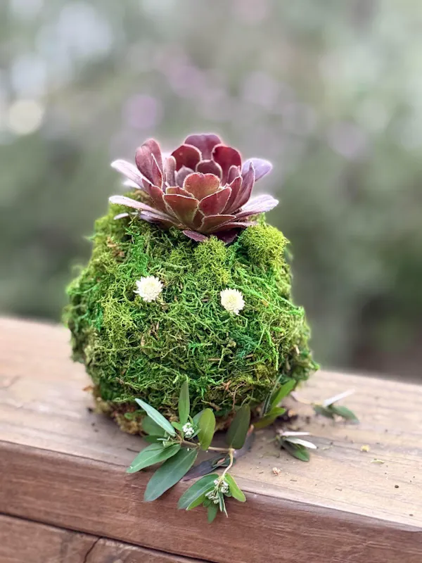 natural material, moss