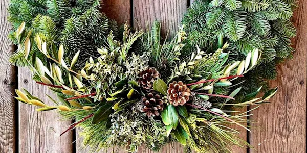 flower, natural material, plant, branch, terrestrial plant, evergreen