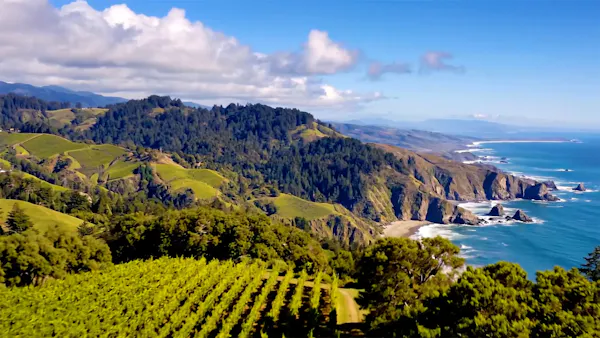 highland, hill station, agriculture, plantation
