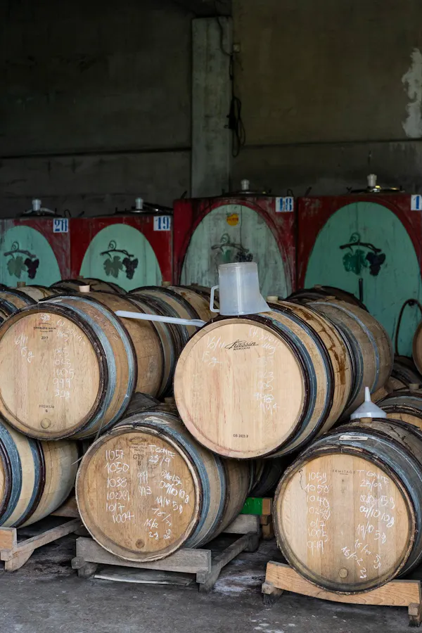 barrel, winery, wine cellar, cylinder, hardwood, brewery