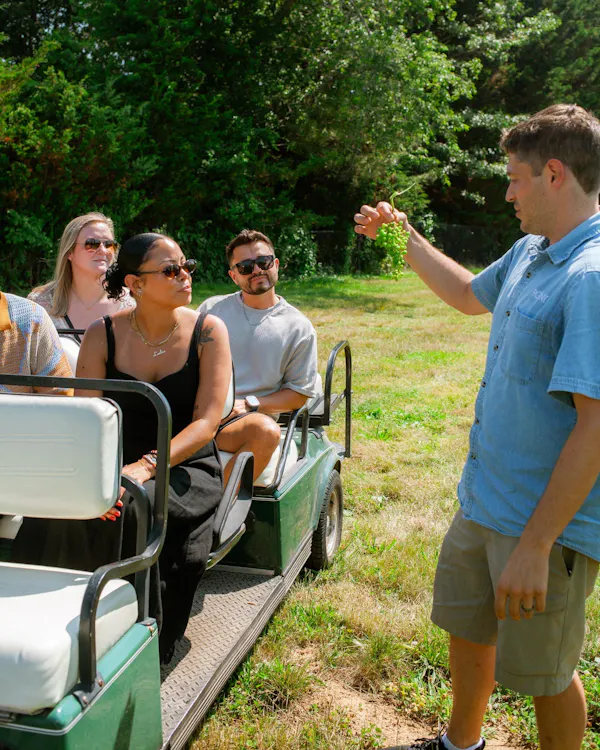 recreation, smile, summer, golf cart, sitting, leisure
