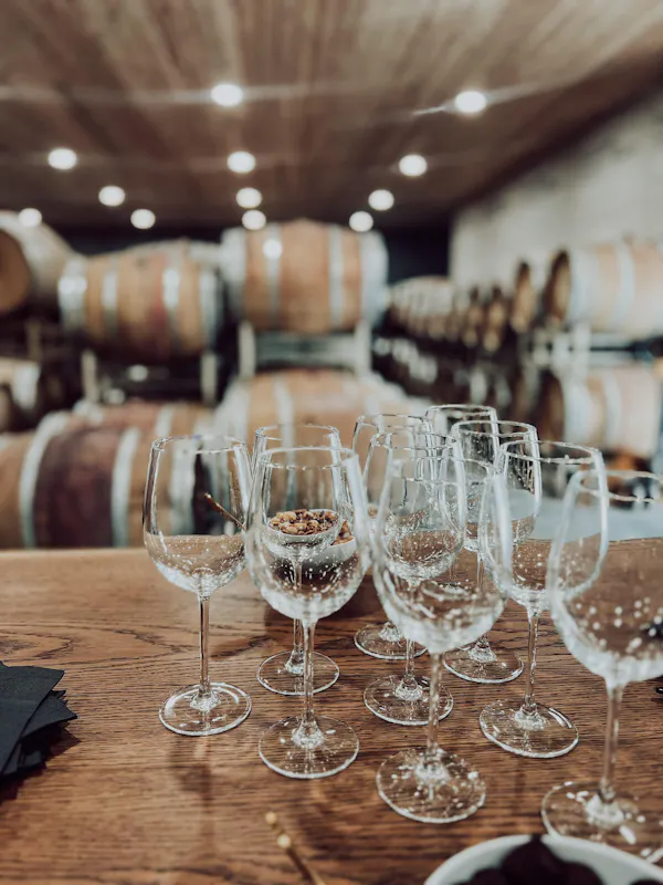 stemware, tableware, barware, drinkware, wine glass, champagne glass