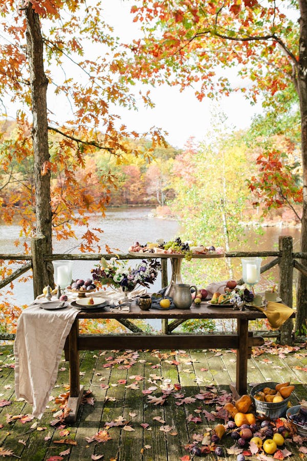 nature, tree, leaf, autumn, natural landscape, table