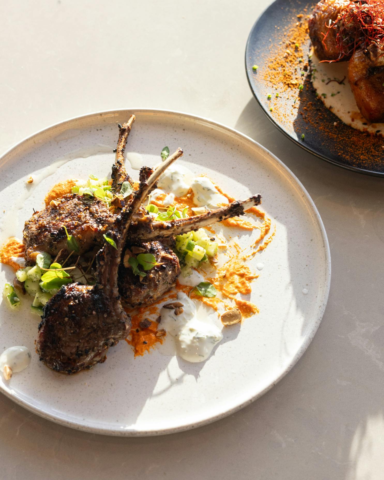 Coa