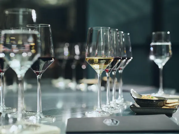 stemware, tableware, drinkware, barware, wine glass, champagne glass
