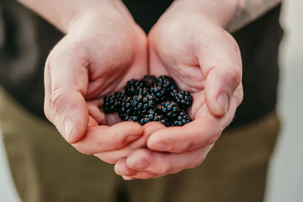 produce, berry, food, ingredient, natural foods, fruit