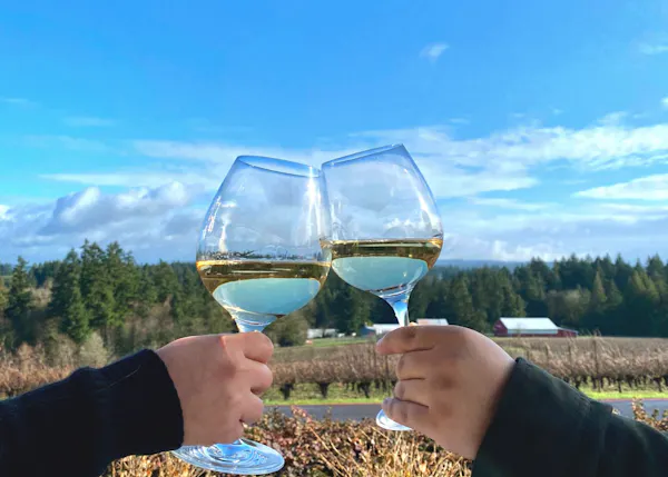 sky, cloud, hand, plant, drinkware, tableware