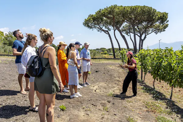 sky, plant, plant community, shorts, people in nature, tree