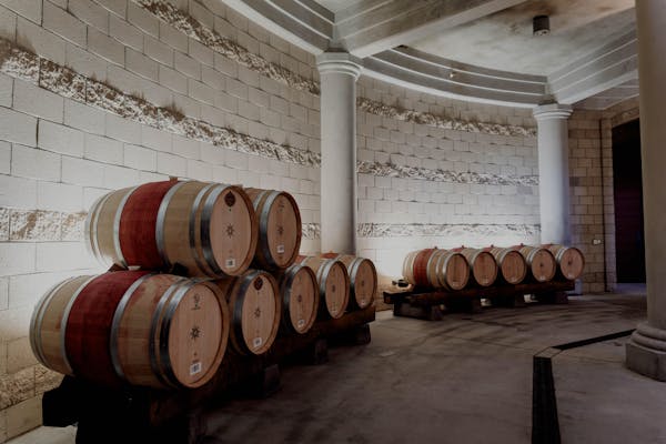 barrel, wine cellar, winery, wood, mass production, brewery