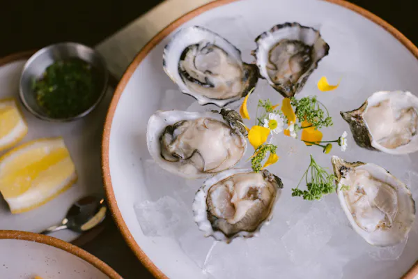 food, tableware, ingredient, oyster, seafood, bivalvia