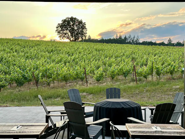 land lot, outdoor furniture, shade, agriculture, field, plantation