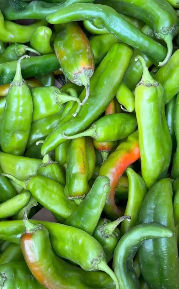 produce, ingredient, chili pepper, sweet and chili peppers, food, vegetable