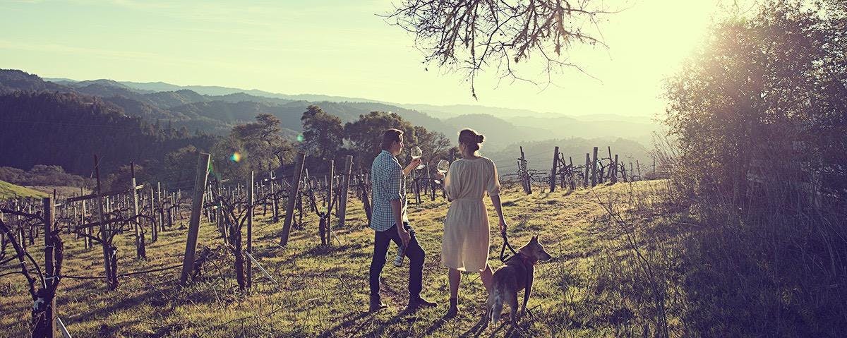 SEAWOLF Wines (SEAWOLF Wines LLC)