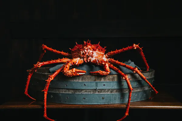 arthropod, decapods, crustacean, crabs, marine invertebrates, seafood