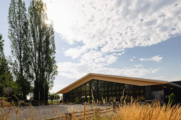 shade, pavilion