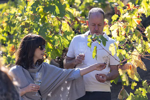eyewear, sunglasses, people in nature, spring, goggles, agriculture