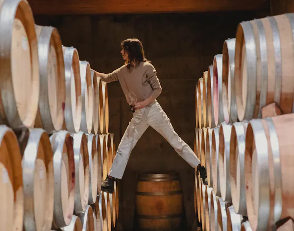 barrel, winery, wine cellar