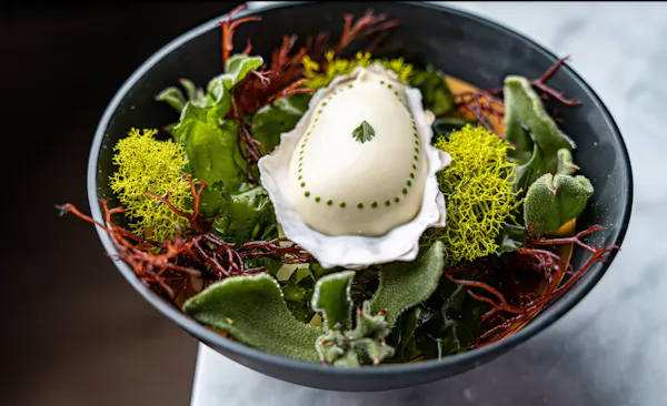 serveware, dishware, culinary arts