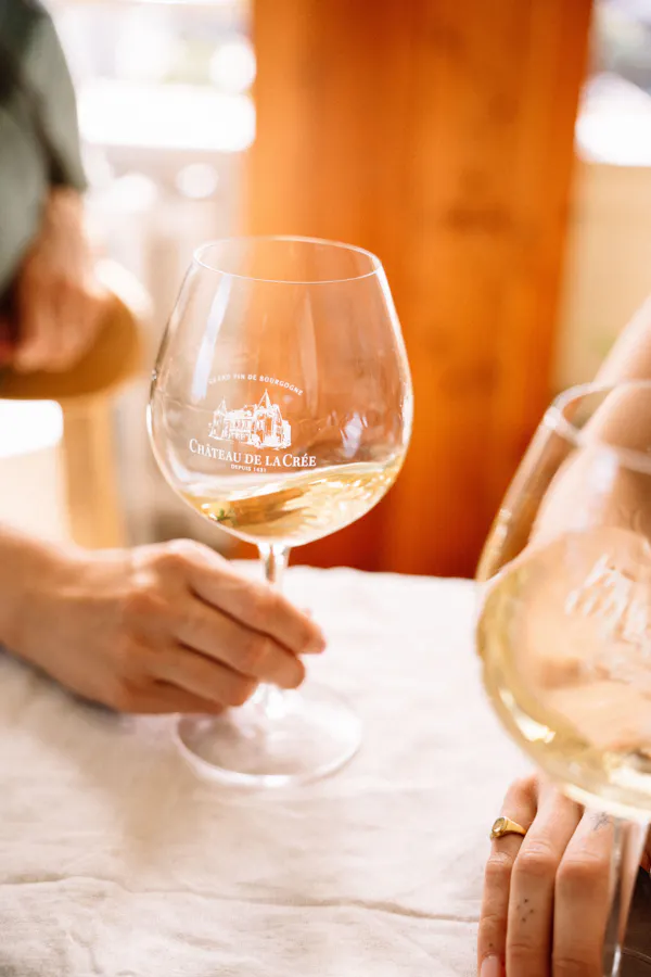 stemware, tableware, drinkware, alcoholic drink, wine glass, barware