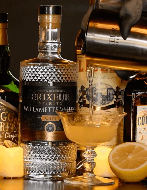 bottle, alcoholic drink, liquor, alcohol, barware, glass bottle