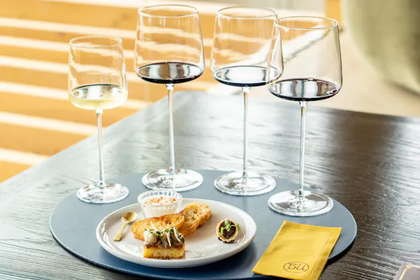 tableware, drinkware, serveware, stemware, wine glass, barware