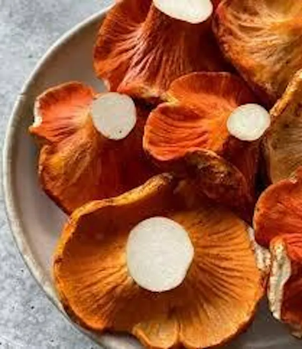 fungus, ingredient, mushroom, orange, medicinal mushroom, food
