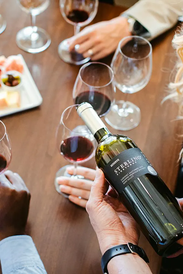 drink, wine, alcoholic beverage, wine bottle, alcohol, bottle