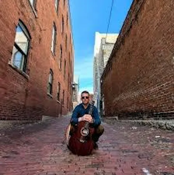 chordophone, musical instrument, string instrument, musician, guitar, guitarist