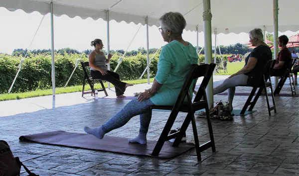 leisure, chair, fun
