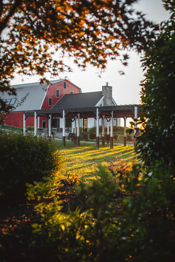 spring, garden, yard, plantation, landscaping, farm