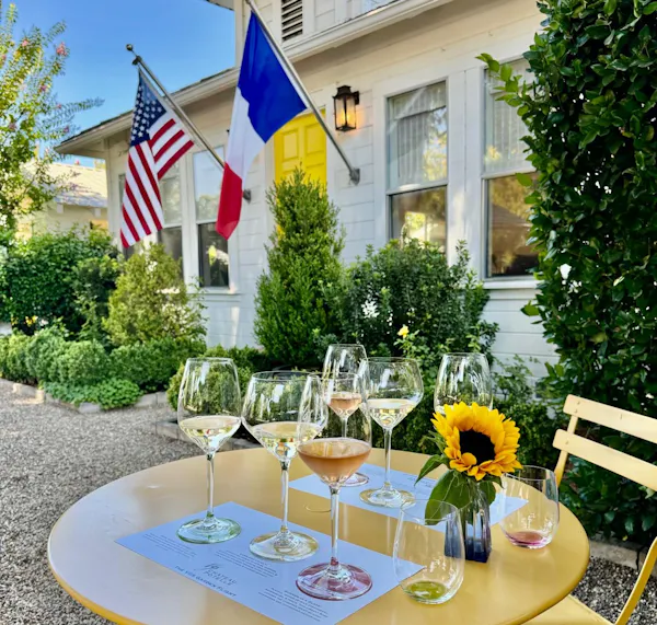 plants, shrub, furniture, chair, outdoor furniture, outdoor table