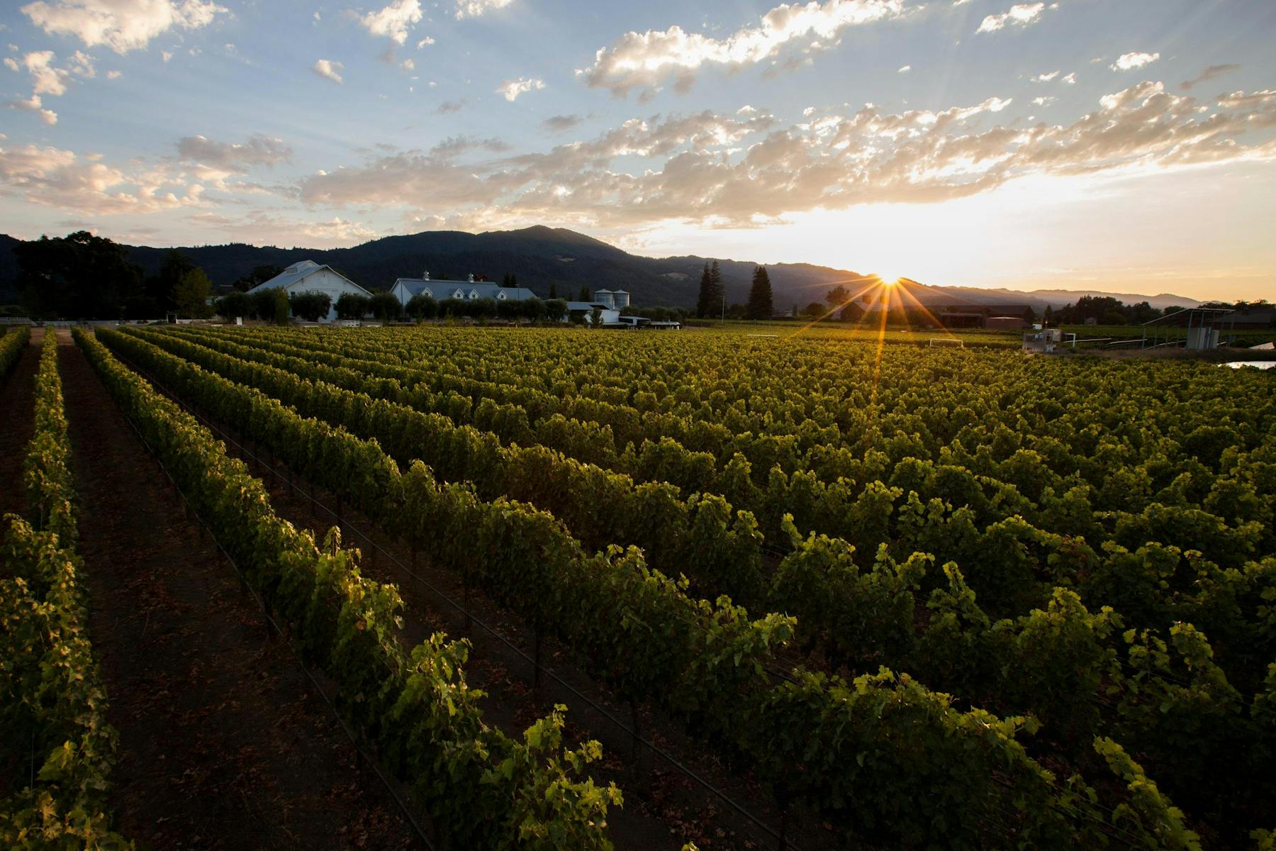 Nickel & Nickel Napa, CA Tock