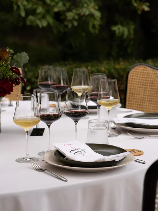 stemware, drinkware, tableware, wine glass, barware, alcoholic drink