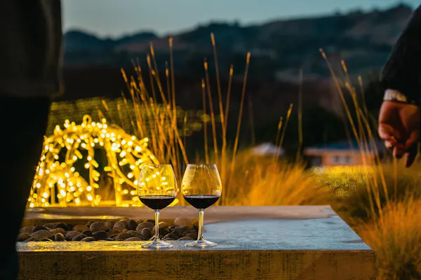 sky, water, tableware, stemware, drinkware, plant