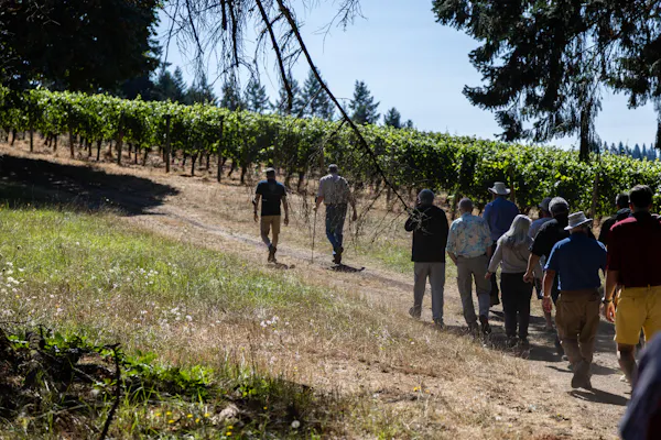 agriculture, people in nature, plantation, soil, walking, grapevines