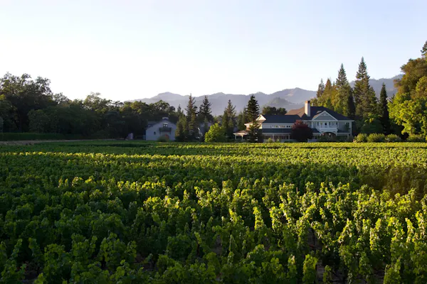 land lot, plantation, agriculture, hill station, cottage, field