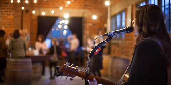 chordophone, entertainment, guitar, performing arts, guitarist, music