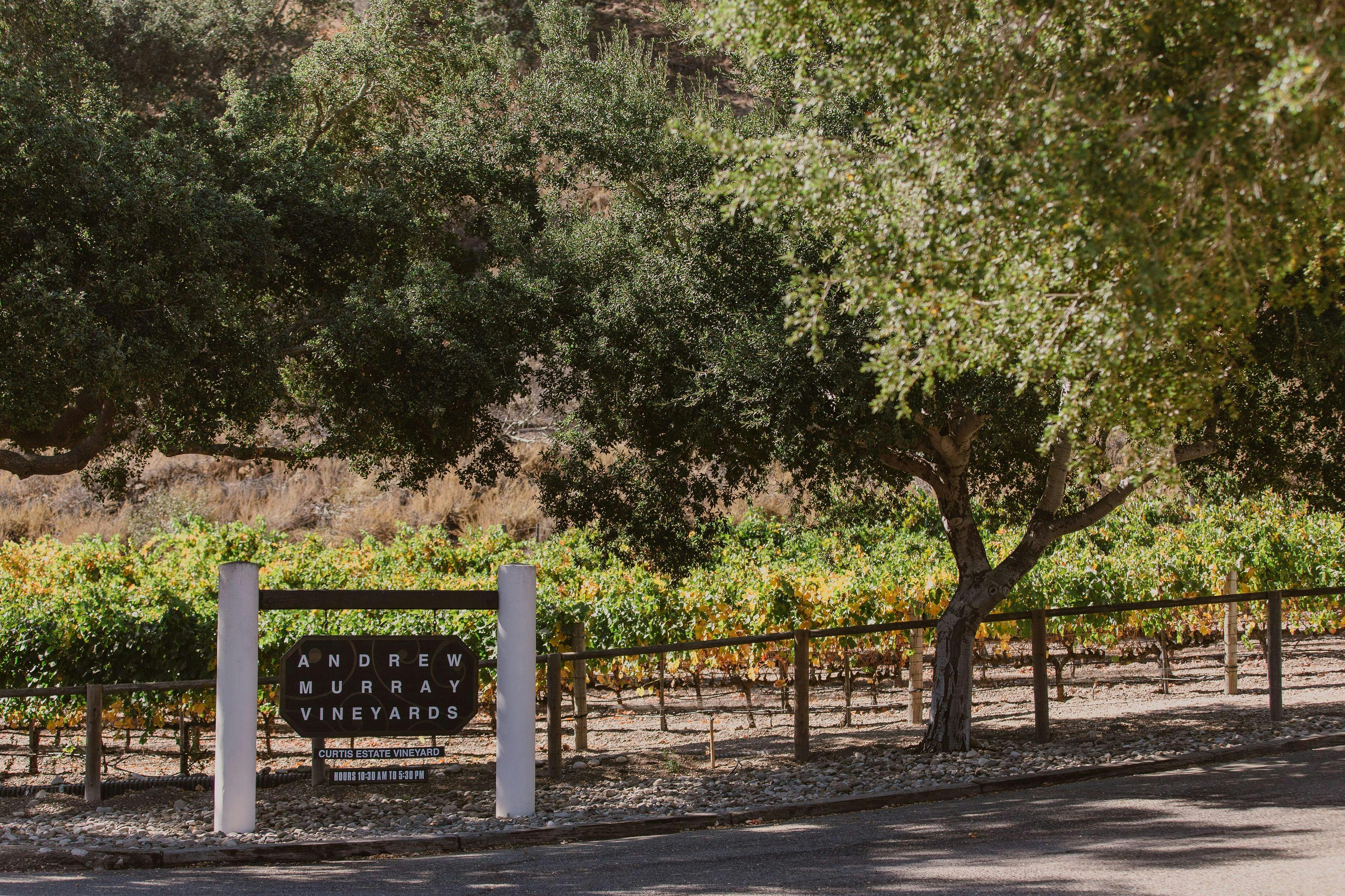 Andrew Murray Vineyards