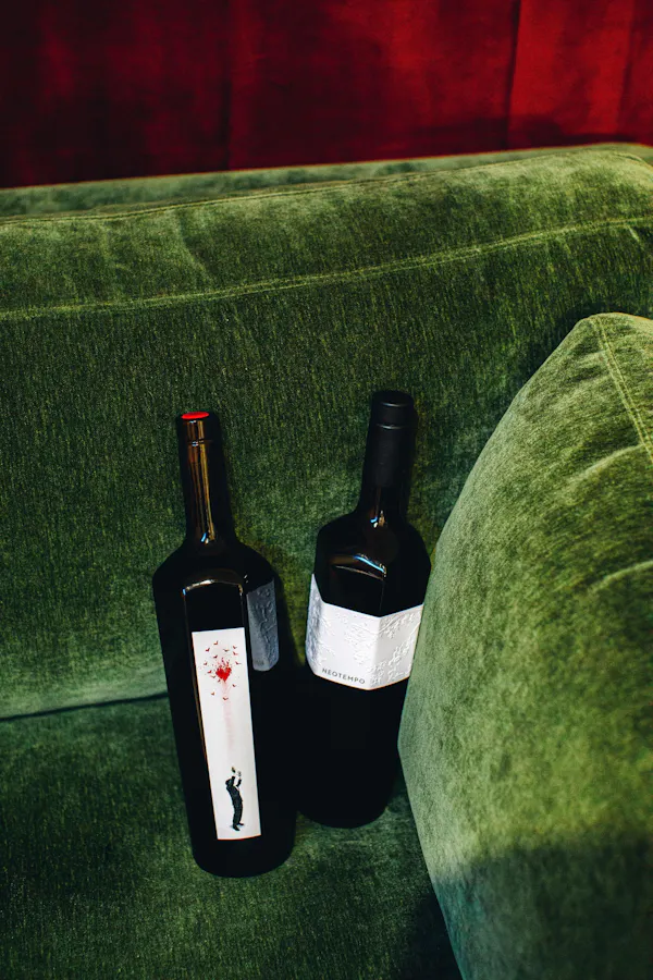 bottle, alcoholic drink, glass bottle, alcohol, wine bottle, liquor
