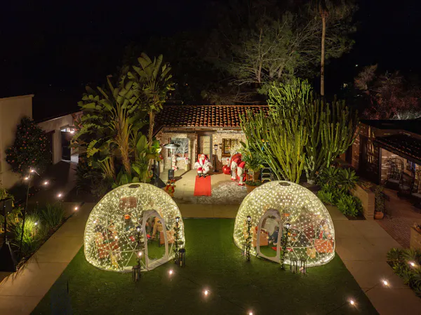 lighting, garden, night, landscape lighting, decoration, light fixture