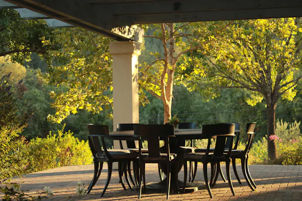 nature, leaf, property, furniture, tree, yellow