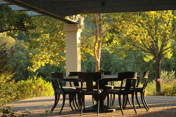 nature, leaf, property, furniture, tree, yellow